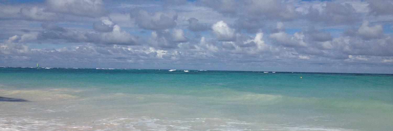 BaliusCheryl's profile banner image