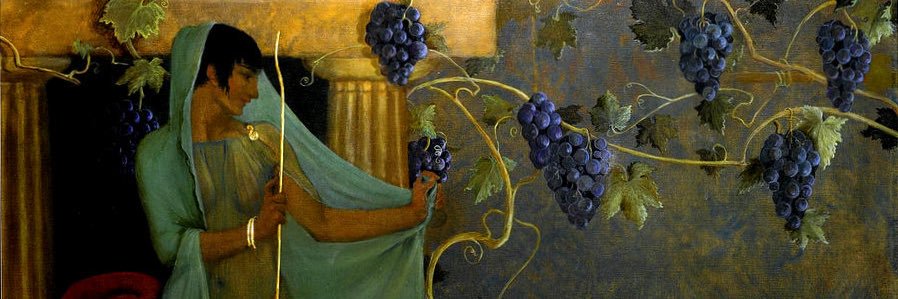 Barend Vorster 🇿🇦 banner