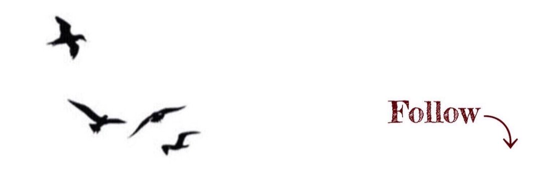 سفير الجنوب banner