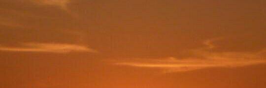 Leopold banner