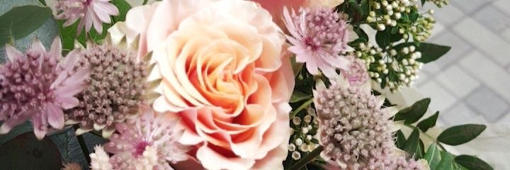 CcshisiBird's profile banner image