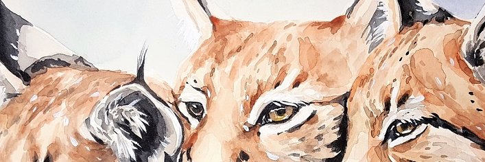 keyym's profile banner image