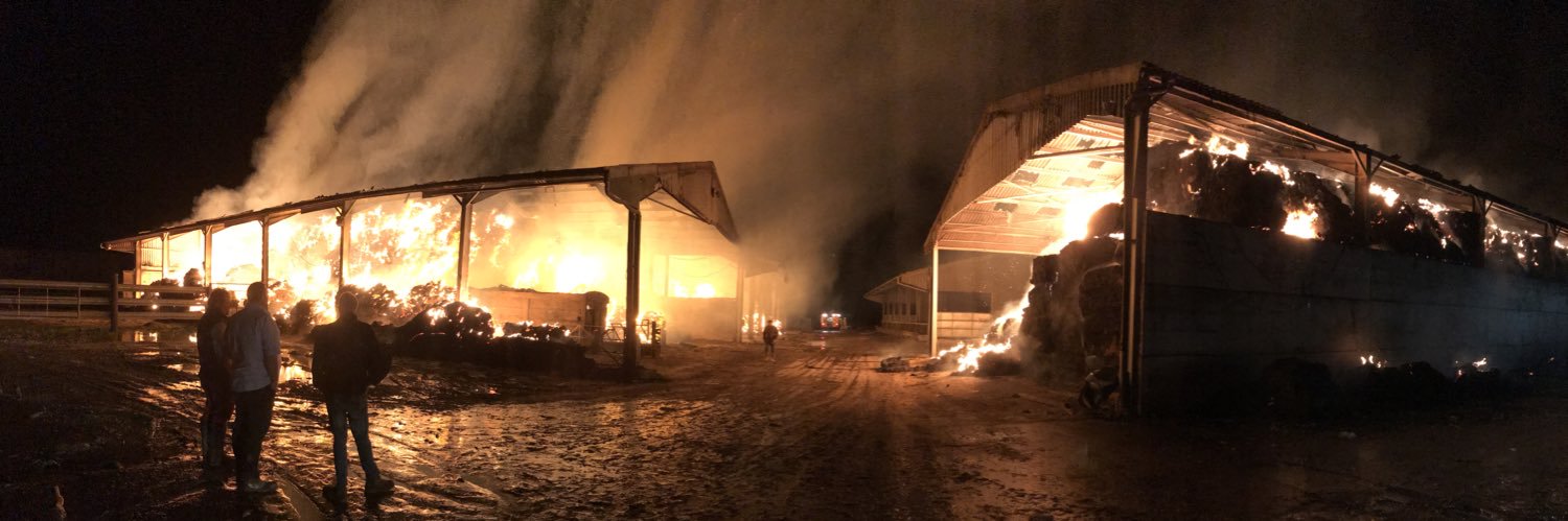 Angus Stevens banner