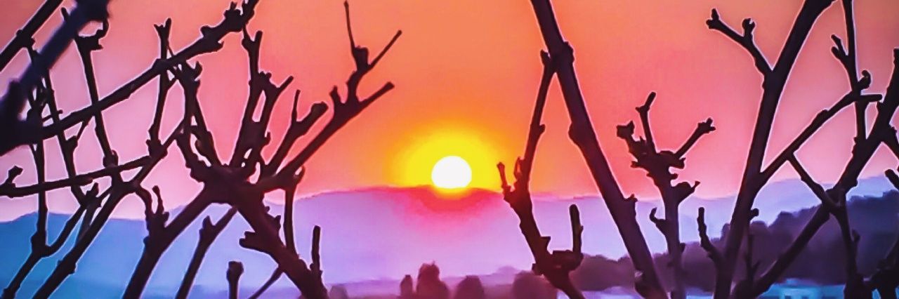 Margiesfilms banner