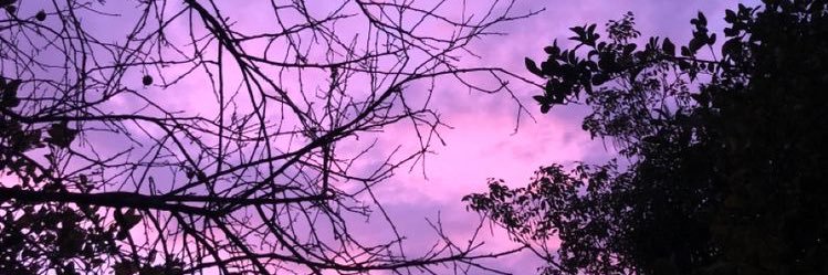 2003Gongora's profile banner image