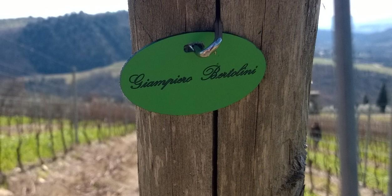 giampieroberto2's profile banner image