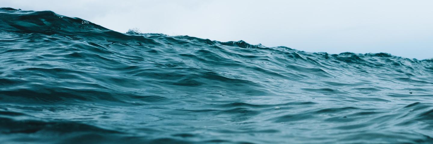 Hélder Barbosa banner