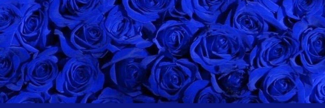 Snoop_az's profile banner image