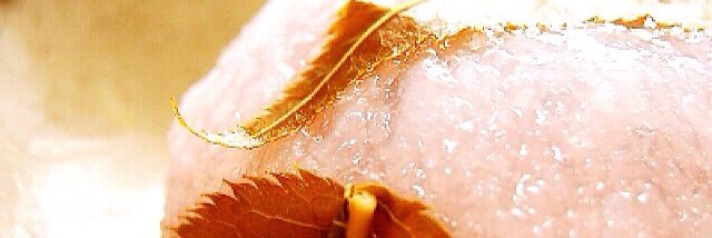 mochi100's profile banner image