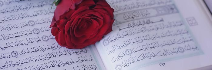 balarabe_aysha's profile banner image