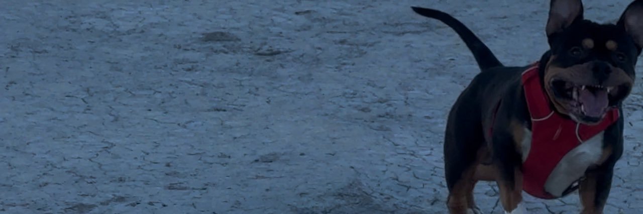 YoungPsychonaut's profile banner image