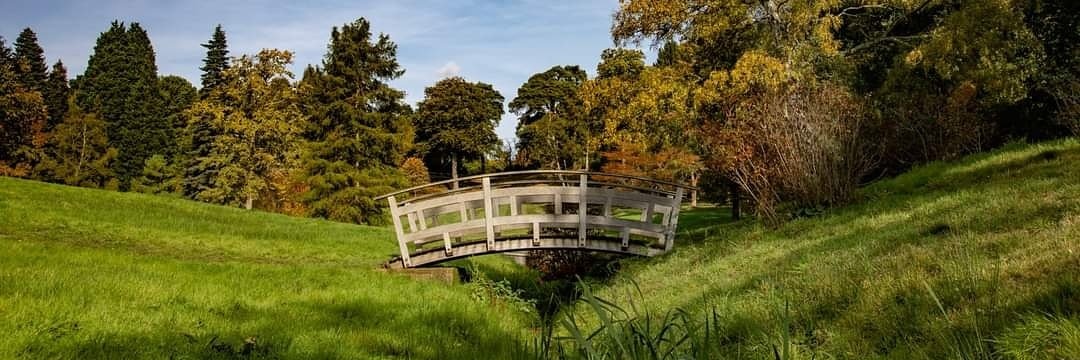 TomRileyImages's profile banner image