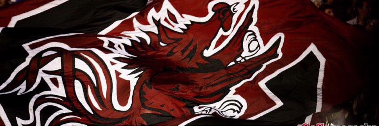 SC_blitzchic's profile banner image