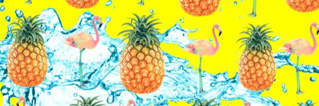 fancee_flamingo's profile banner image