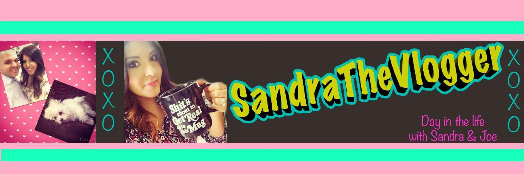 Sandravlogger's profile banner image