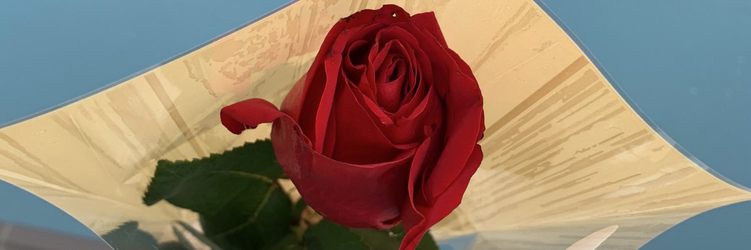 noemi_donzello's profile banner image