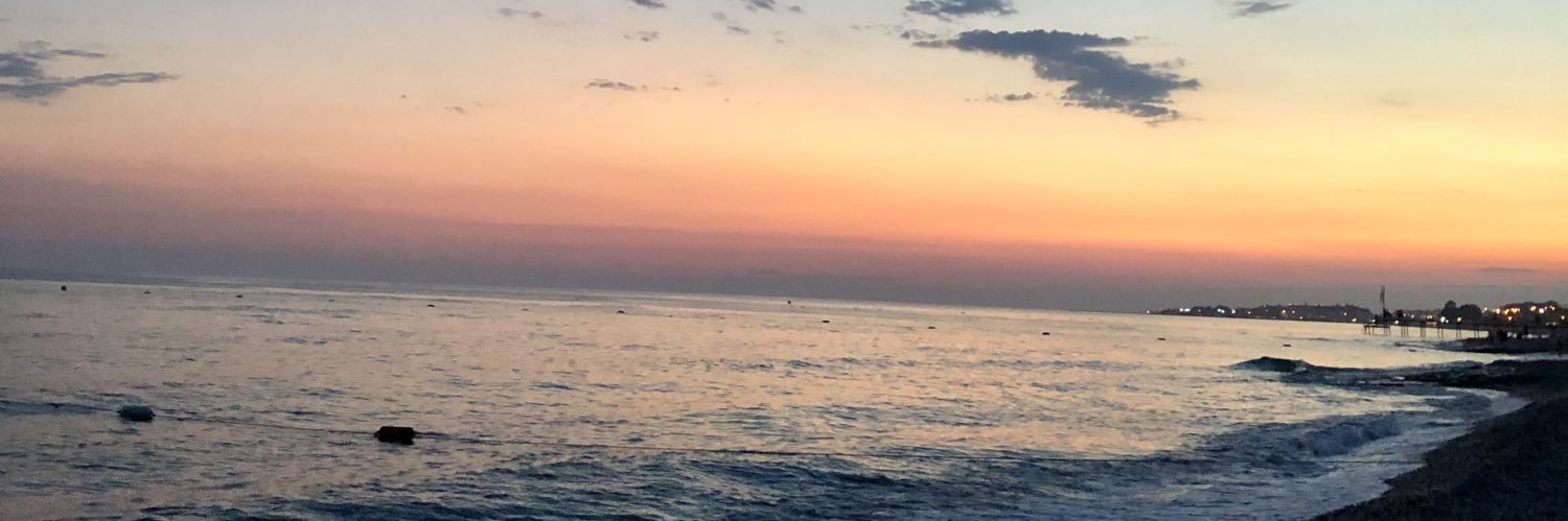 altinselenn's profile banner image