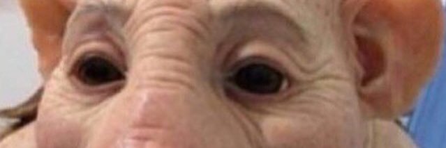 Spencer_g_'s profile banner image