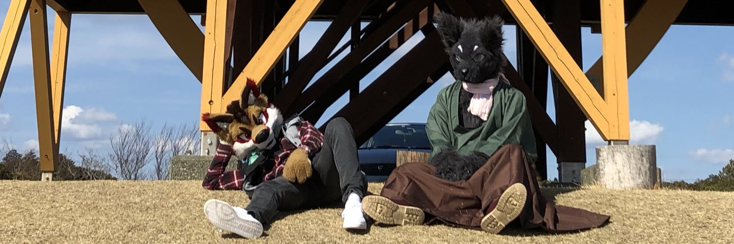 lion44642's profile banner image