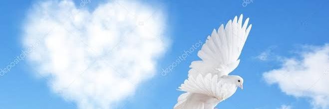 garima43's profile banner image