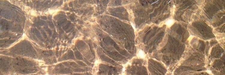 andreaxcruzz's profile banner image