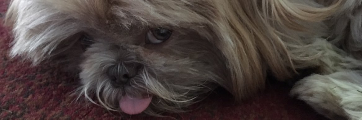 Kenziemichael1's profile banner image