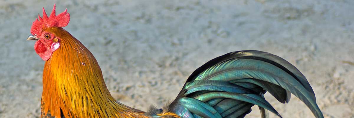 perwerr34's profile banner image