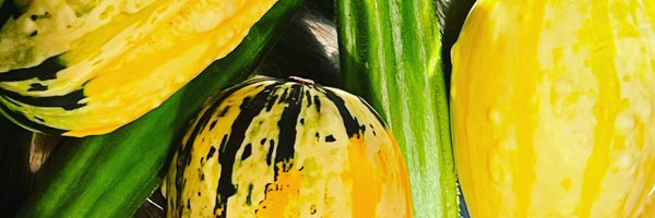 alicetewell Profile Banner