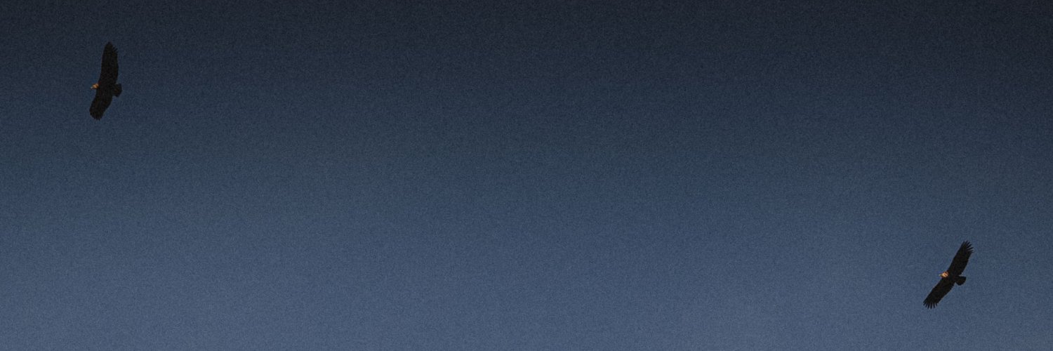 bufonidaes_'s profile banner image
