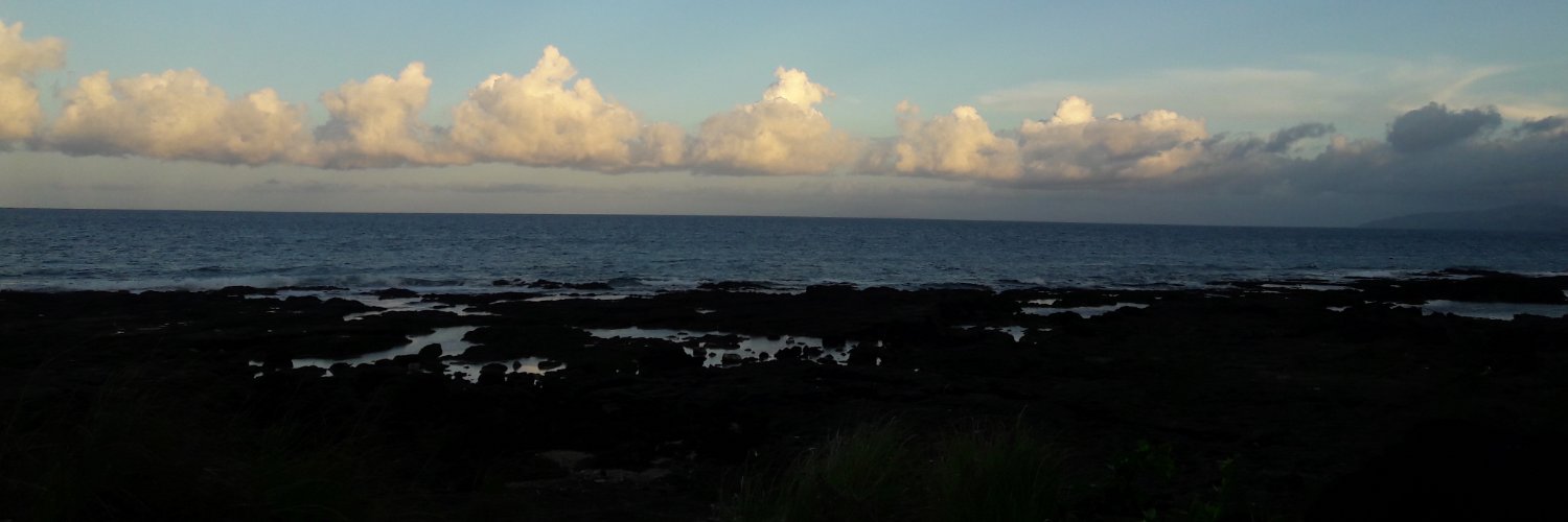 charmenriquez's profile banner image