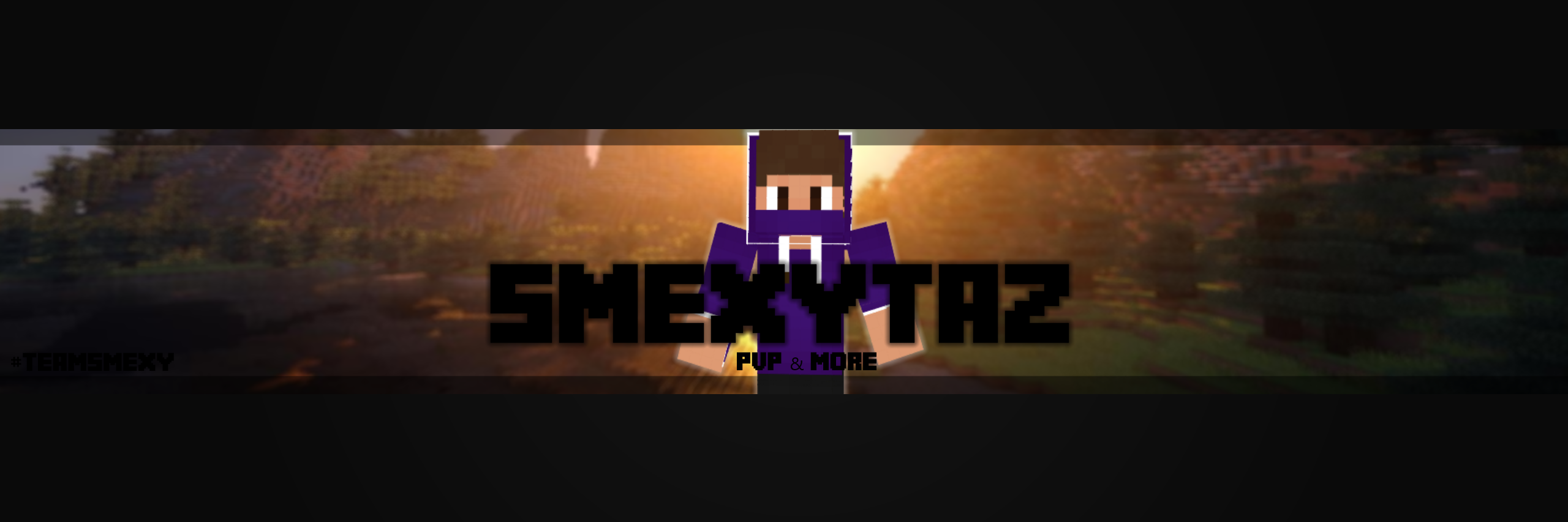 SmexyTaz's profile banner image