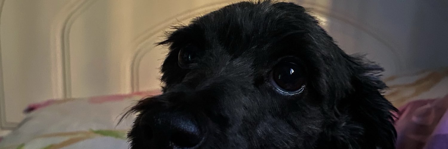 FlorPalavecinog's profile banner image