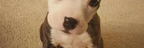 guillermosmith8's profile banner image