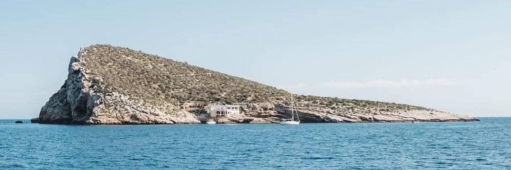 languichula 🌸 banner