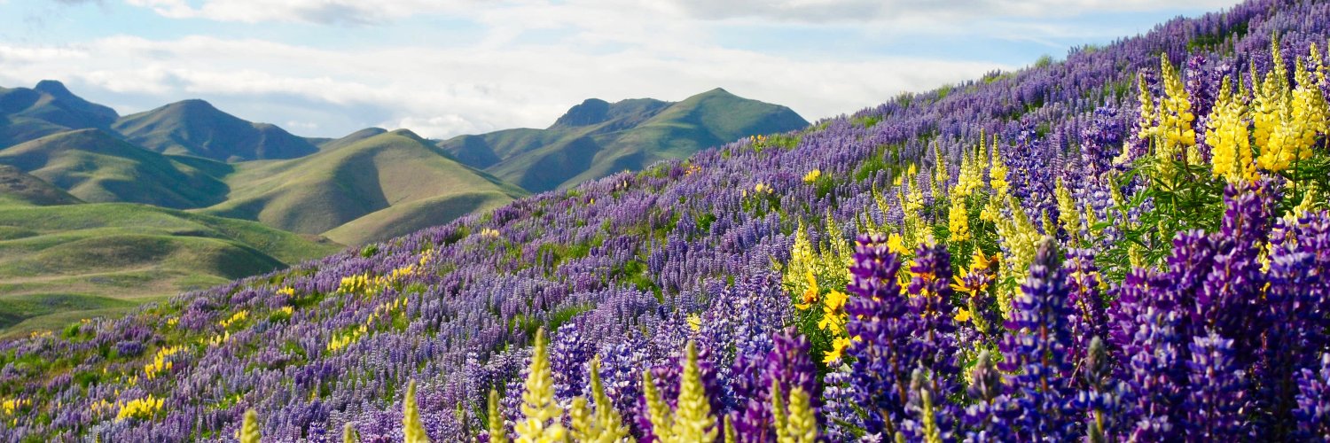 Sun Valley Institute banner