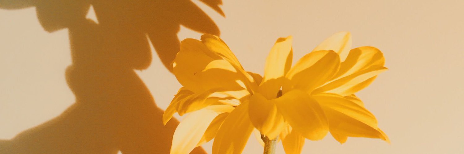 inflamedintent's profile banner image