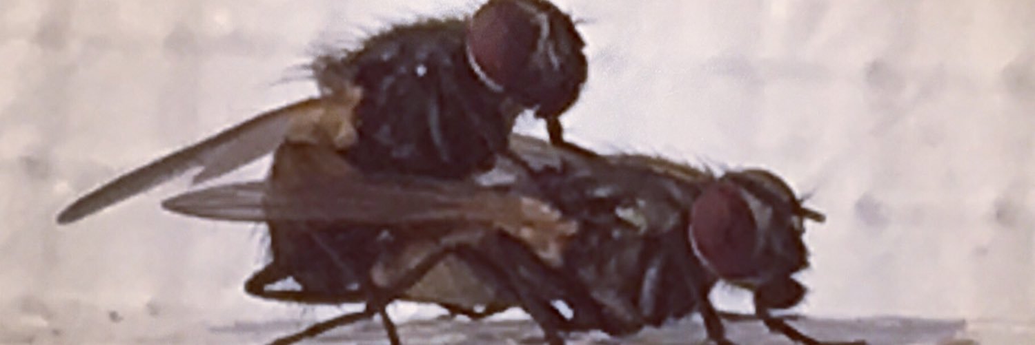 Marvelous_Butt's profile banner image