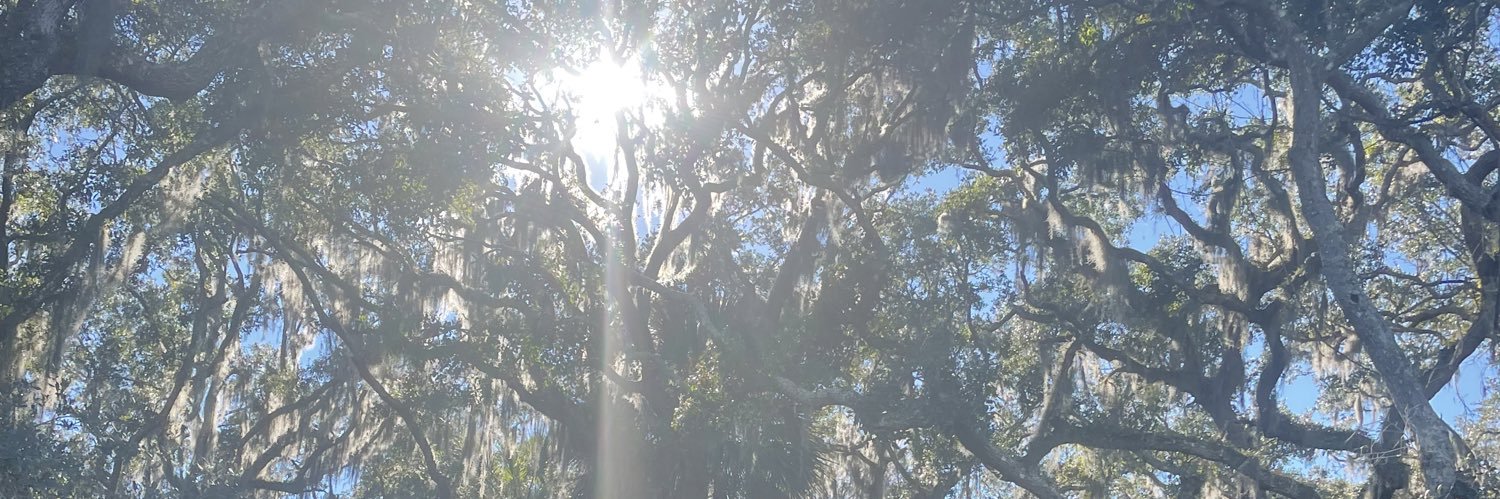 zacktsavage's profile banner image