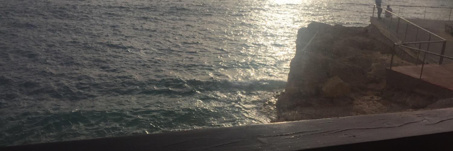 Else's Other Cat banner