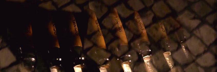 『すべて、至るところにある』リムカーワイ banner