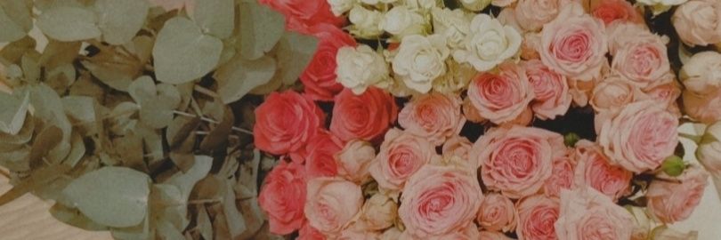 __sosy's profile banner image