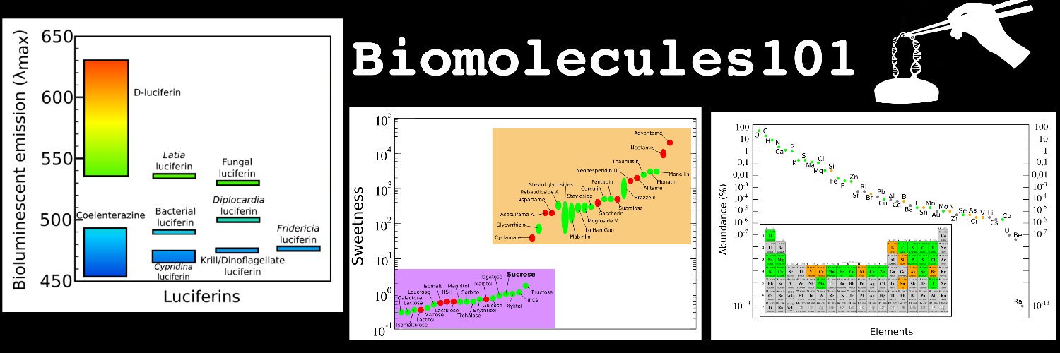 Biomolecules101 banner
