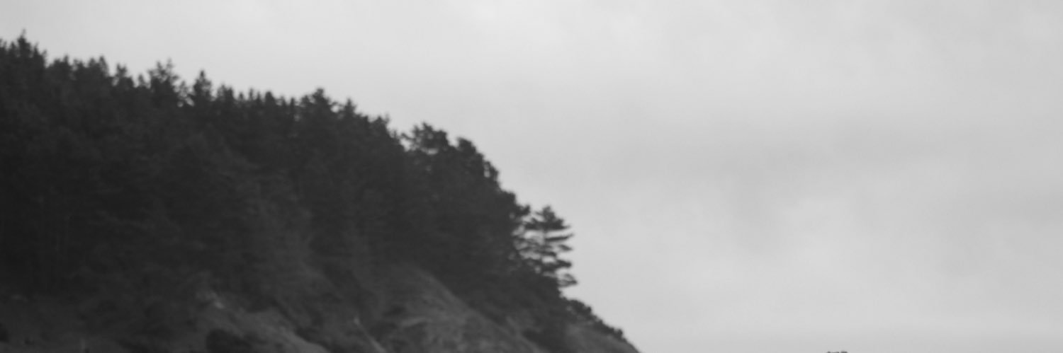 Jeremy Escalona banner