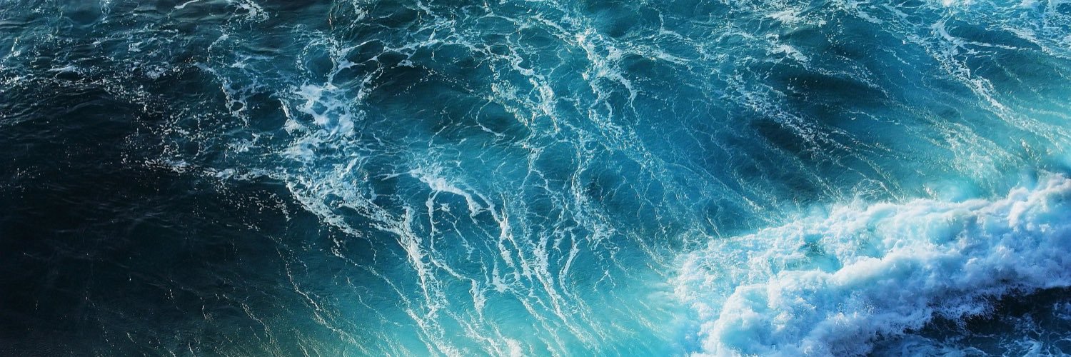 sharkeyaaron431's profile banner image
