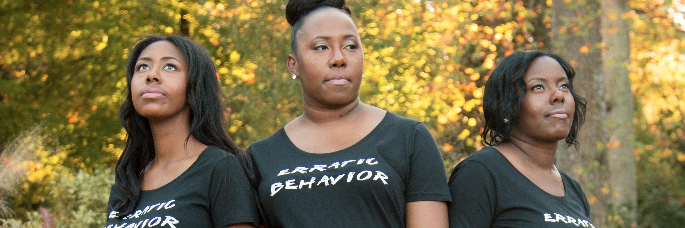 BehaviorErratic's profile banner image
