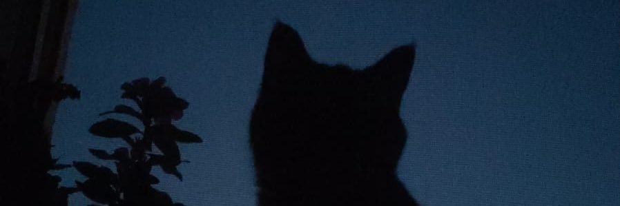 HepMavi_Kal's profile banner image