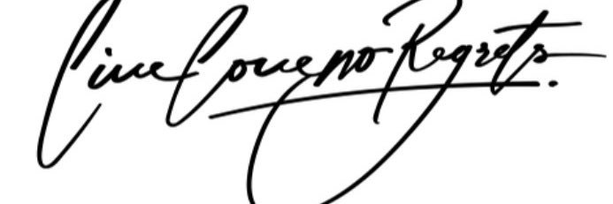 __LLNR's profile banner image