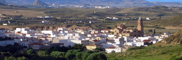 martinturre's profile banner image