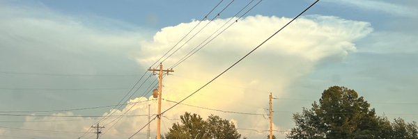 BrandonWildManS Profile Banner