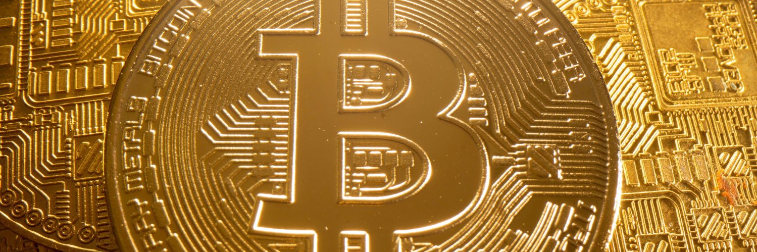 BearCryp's profile banner image